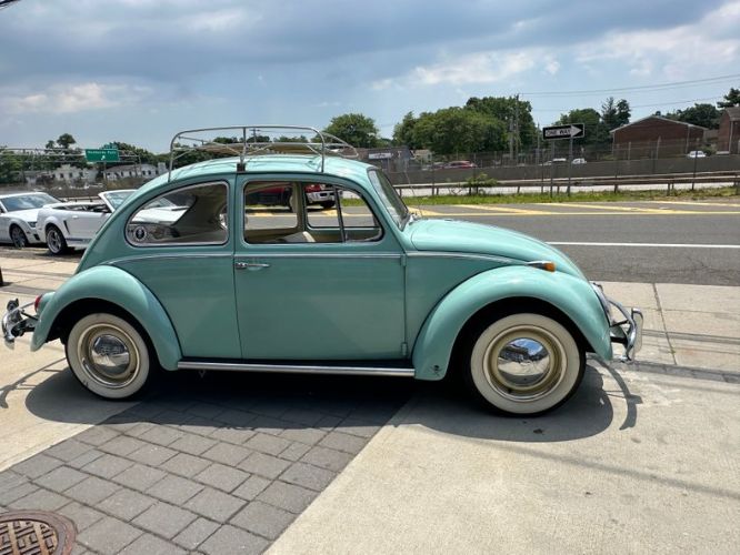 Unknown-Beetle-1966-Blue-Tahitian-1