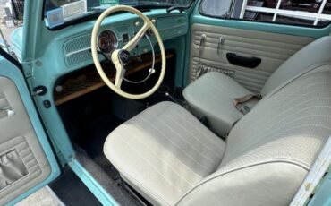 Unknown-Beetle-1966-Blue-Tahitian-14