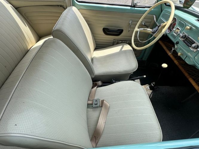Unknown-Beetle-1966-Blue-Tahitian-16