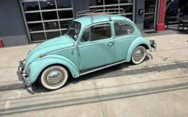 Unknown-Beetle-1966-Blue-Tahitian-2