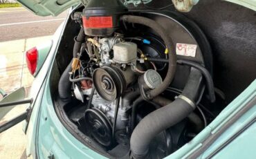 Unknown-Beetle-1966-Blue-Tahitian-23