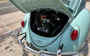 Unknown-Beetle-1966-Blue-Tahitian-25