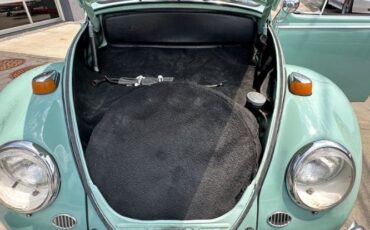 Unknown-Beetle-1966-Blue-Tahitian-26