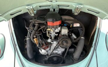 Unknown-Beetle-1966-Blue-Tahitian-27