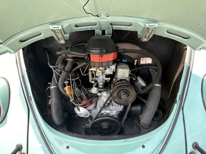 Unknown-Beetle-1966-Blue-Tahitian-27