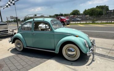 Unknown-Beetle-1966-Blue-Tahitian-37