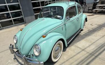 Unknown-Beetle-1966-Blue-Tahitian-4