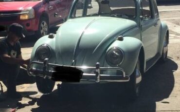 Unknown-Beetle-1966-Green-1