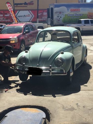 Unknown-Beetle-1966-Green-1