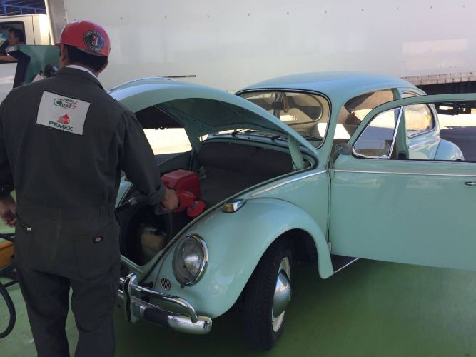 Unknown-Beetle-1966-Green-10