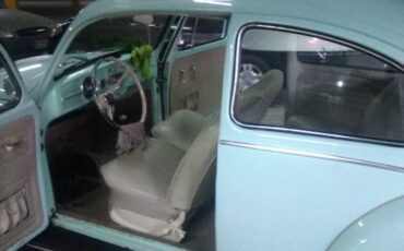 Unknown-Beetle-1966-Green-11
