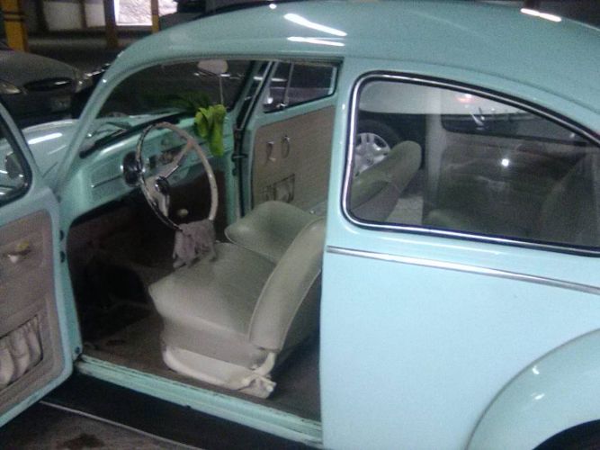 Unknown-Beetle-1966-Green-11