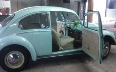 Unknown-Beetle-1966-Green-12