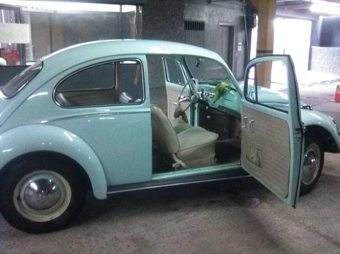 Unknown-Beetle-1966-Green-12