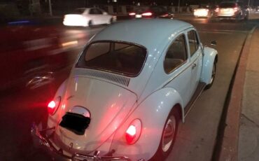 Unknown-Beetle-1966-Green-2