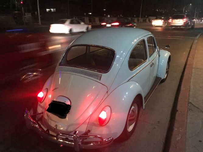 Unknown-Beetle-1966-Green-2