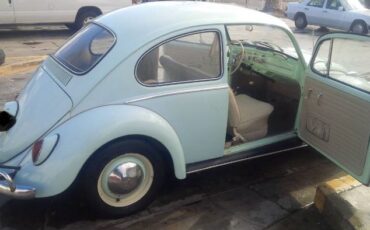 Unknown-Beetle-1966-Green-3
