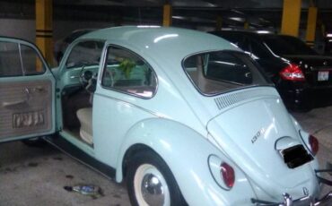 Unknown-Beetle-1966-Green-4