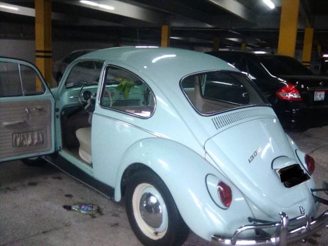 Unknown-Beetle-1966-Green-4