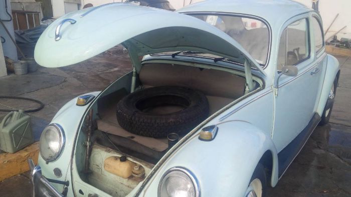 Unknown-Beetle-1966-Green-5