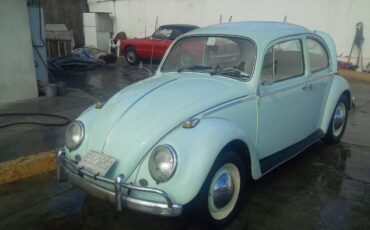 Unknown-Beetle-1966-Green-6