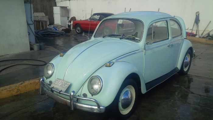 Unknown-Beetle-1966-Green-6