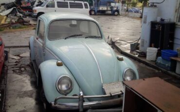 Unknown-Beetle-1966-Green-7