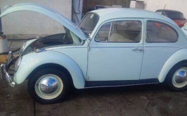 Unknown-Beetle-1966-Green-8