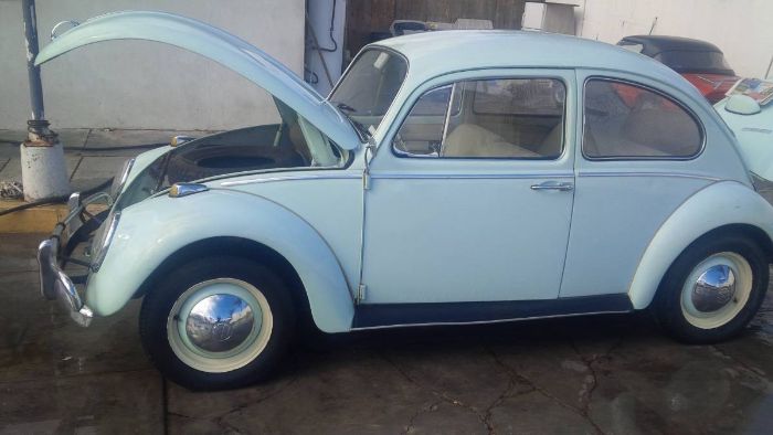 Unknown-Beetle-1966-Green-8
