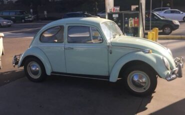 Unknown-Beetle-1966-Green-9