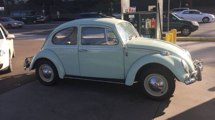 Unknown-Beetle-1966-Green-9