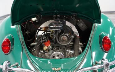 Unknown-Beetle-1966-Green-Black-41