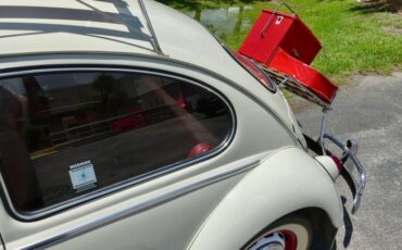Unknown-Beetle-1966-Pearl-White-Pigalle-Red-10