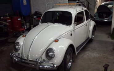 Unknown-Beetle-1966-Pearl-White-Pigalle-Red-10