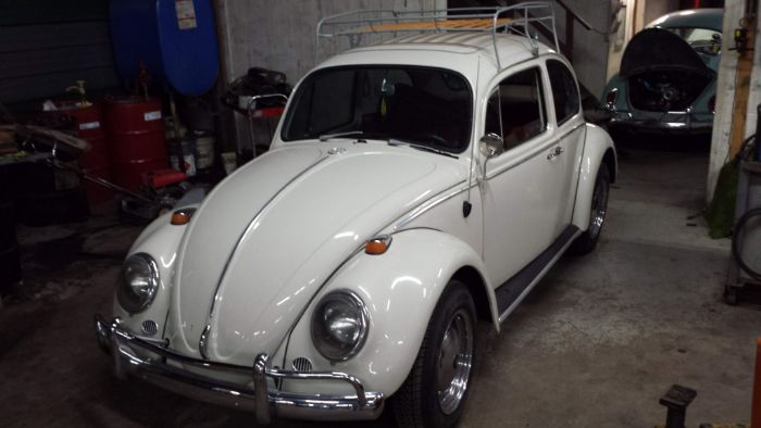 Unknown-Beetle-1966-Pearl-White-Pigalle-Red-10