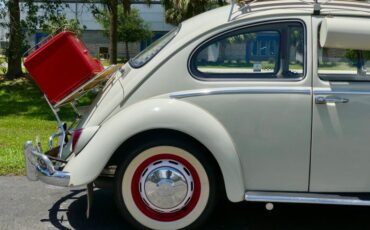 Unknown-Beetle-1966-Pearl-White-Pigalle-Red-11