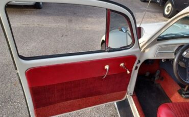 Unknown-Beetle-1966-Pearl-White-Pigalle-Red-11