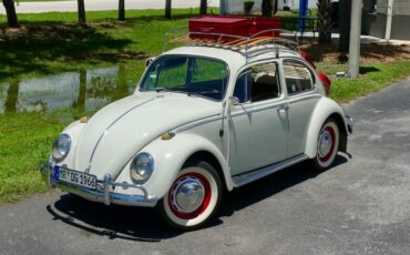 Unknown-Beetle-1966-Pearl-White-Pigalle-Red-15