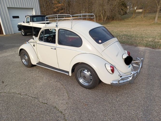 Unknown-Beetle-1966-Pearl-White-Pigalle-Red-2