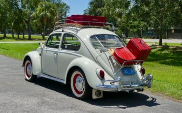 Unknown-Beetle-1966-Pearl-White-Pigalle-Red-21
