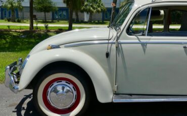 Unknown-Beetle-1966-Pearl-White-Pigalle-Red-32