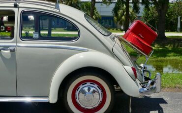 Unknown-Beetle-1966-Pearl-White-Pigalle-Red-34
