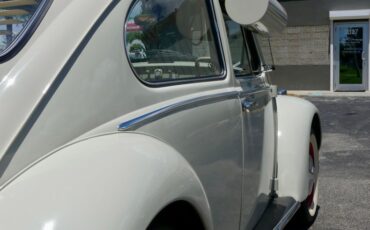 Unknown-Beetle-1966-Pearl-White-Pigalle-Red-36