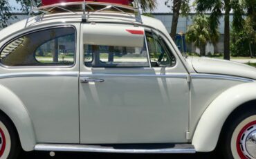 Unknown-Beetle-1966-Pearl-White-Pigalle-Red-38