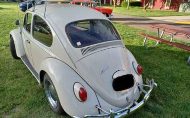 Unknown-Beetle-1966-Pearl-White-Pigalle-Red-4