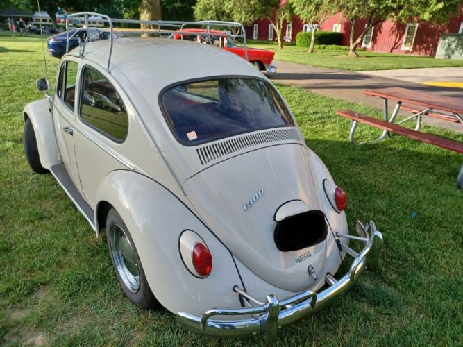 Unknown-Beetle-1966-Pearl-White-Pigalle-Red-4