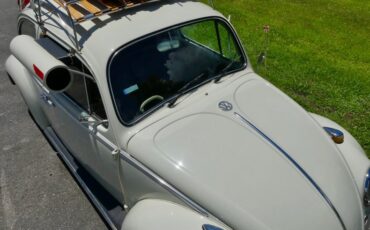 Unknown-Beetle-1966-Pearl-White-Pigalle-Red-41