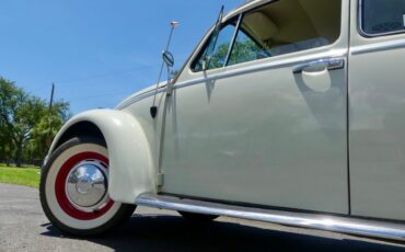 Unknown-Beetle-1966-Pearl-White-Pigalle-Red-42