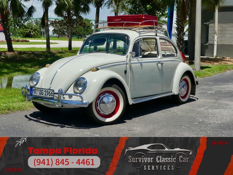 Unknown-Beetle-1966-Pearl-White-Pigalle-Red-43