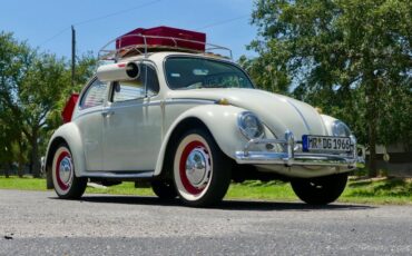 Unknown-Beetle-1966-Pearl-White-Pigalle-Red-47